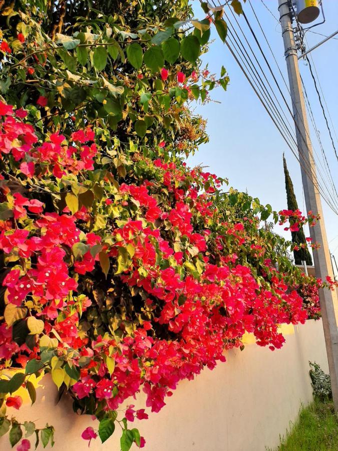 Casa Vista Hermosa ภายนอก รูปภาพ